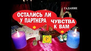 ОСТАЛИСЬ ЛИ У ПАРТНЕРА ЧУВСТВА К ВАМ