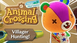 Villager Hunting For Dummies Campsite Animal Crossing New Horizons