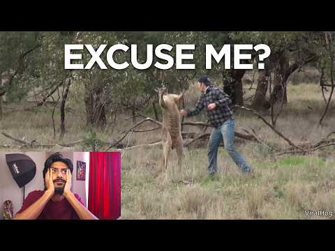 Crazy Animal Encounters!