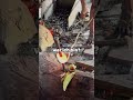 ER wusste mal wider nicht WER ICH BIN? #shorts #reddit #satisfying #storytime
