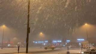 03-01-2020 Colorado Springs Co Area Snow - 3 Inches Of Snow In 45 Mins