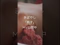 きばやし「熟す」MV #short #料理動画 #シンガーソングライター