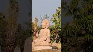SVG FLORA Farm Resorts at Jangaon contact 9573606333