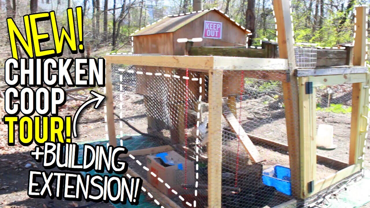 chicken coop tour