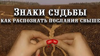 Знак судьбы как распознать знаки с выше?