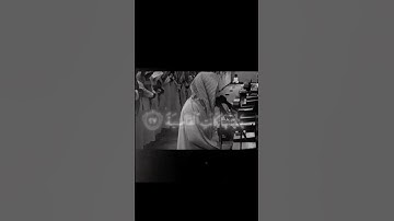 الشيخ ياسر الدوسري سورة الحاقه اية ياليتها كانت القاضية #الرحمن #القرآن_الكريم #سورة_الحاقة