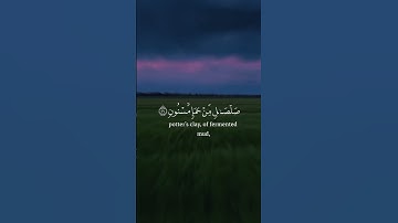ولقد علمنا المستقدمين منكم 📻 تلاوة عطرة 🌸للقائ #هزاع_البلوشي #quran #اكسبلور #رعدالكردي