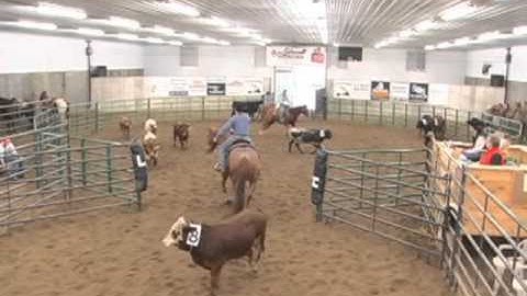 RSNC - Ranch Sorting National Championships - Lazy H Ranch 5