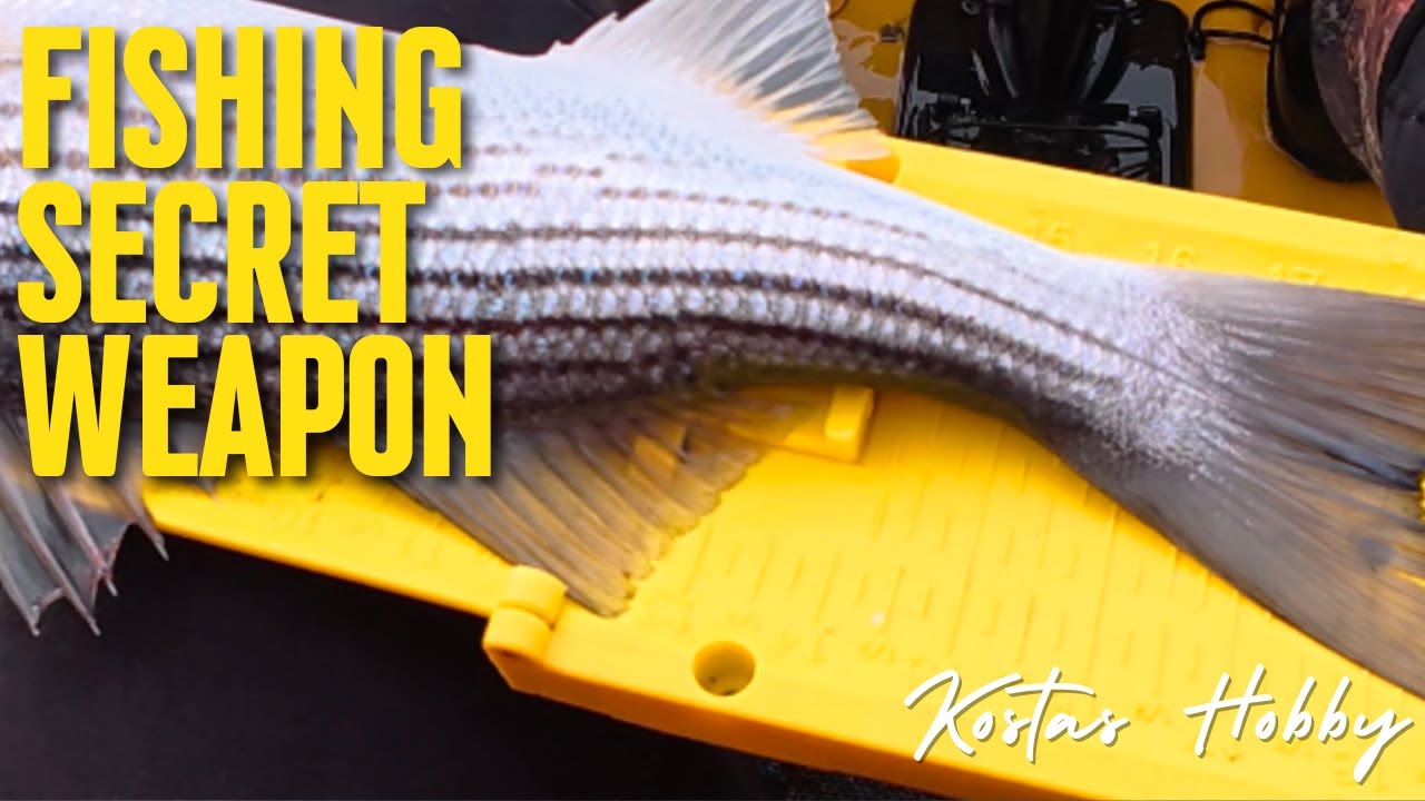 Sacramento River Fishing — The Secret Weapon!