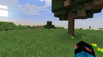 How to install Minecraft Forge (Mac)