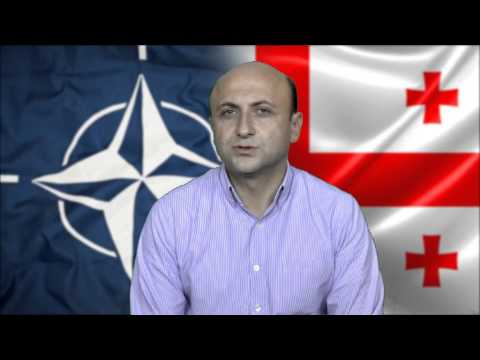 მიხეილ დარჩიაშვილი - საქართველოს ატლანტიკური საბჭო