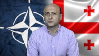 მიხეილ დარჩიაშვილი - საქართველოს ატლანტიკური საბჭო