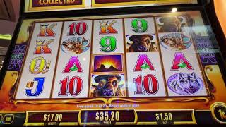 Buffalo Revolution trigger 4 coins and 3 bonuses