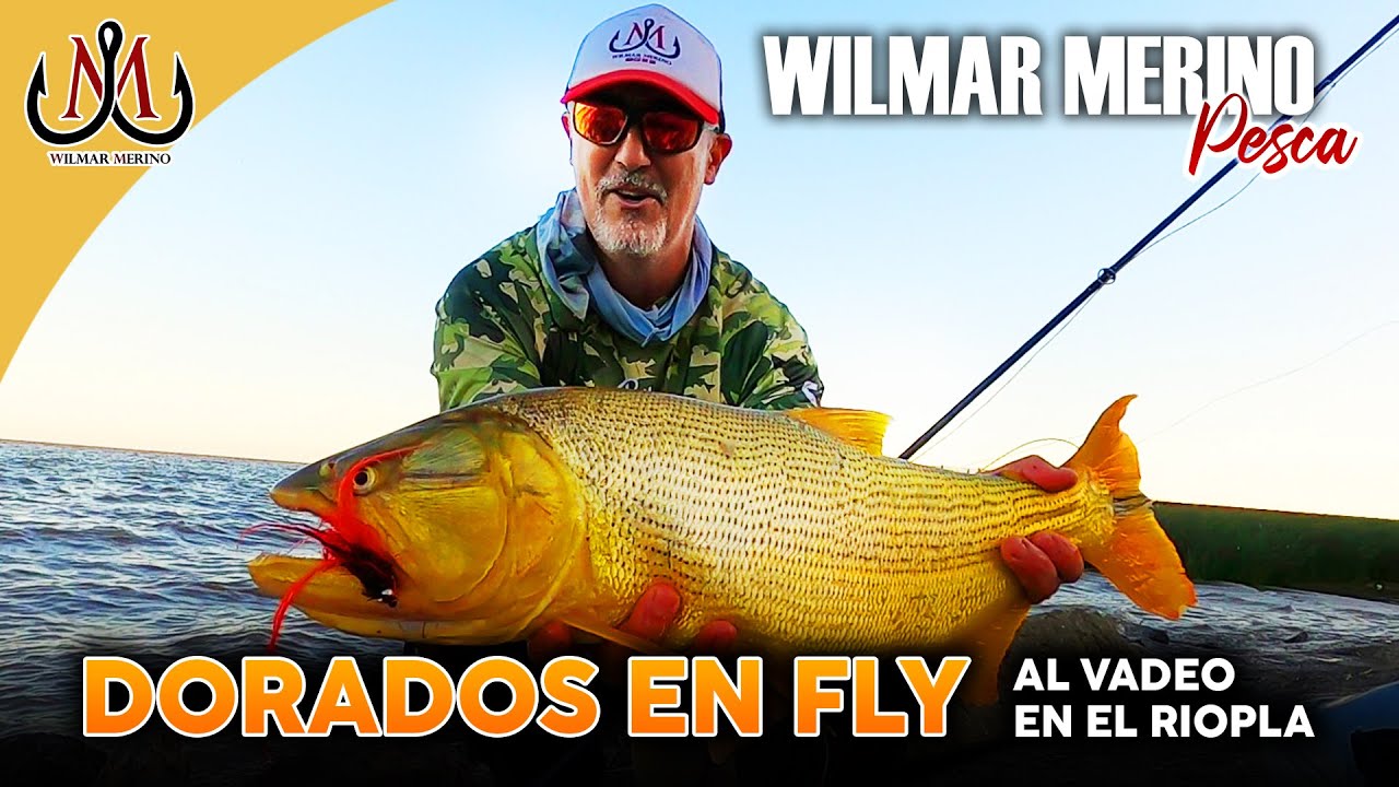 🔴DORADOS EN FLY 💣al VADEO en el RIOPLA ✅