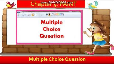 #ssscipaint Microsoft Paint Question Answer & Exercise