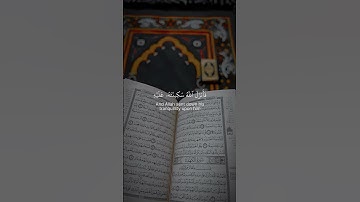 أجمل تلاوة للقرآن الكريم #islamicvideo #المصحف #اكسبلور #راحة_نفسية
