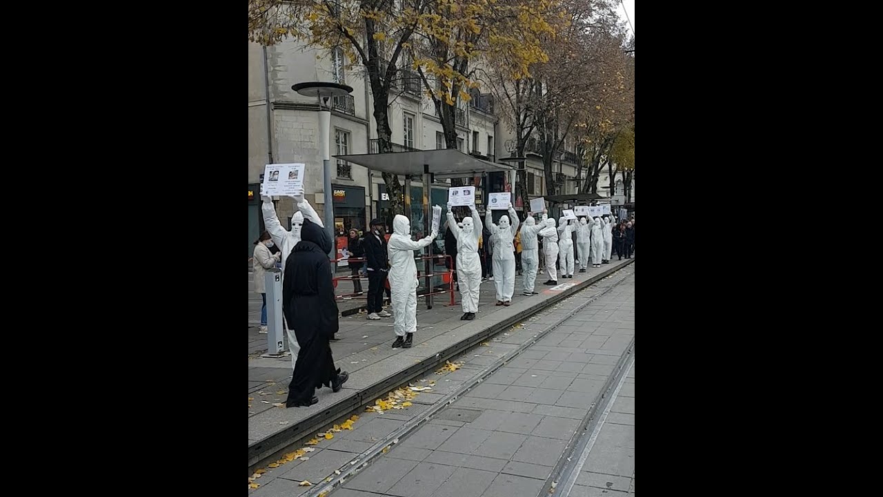 Réparer ou remplacer le rétroviseur de votre véhicule toutes marques  rapidement Léognan proche de Bordeaux - GARAGE AUBIN ET FILS - Citroën