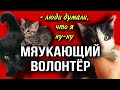 Спасение котят, методом мяукающей мамки | Смотреть до конца!