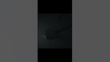 Part of the BLOB #shorts #inside