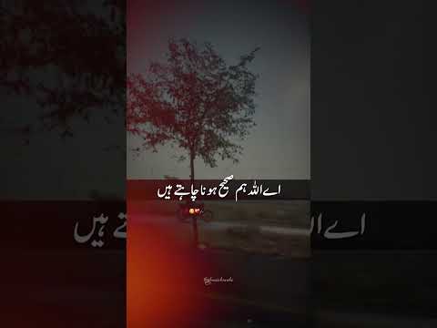 الله هما صلی الله سیدنا یاموسابابلسباب احدیس