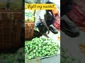 rural markets
