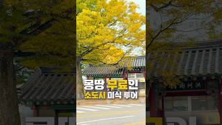무료 먹방은 여기서? 무료투어는 손가락 빠른 사라이 위너  예약 링크 궁금하면 댓글 #무료여행 #국내여행
