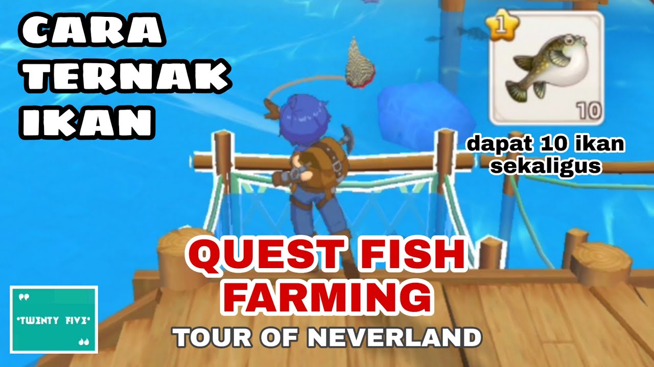 CARA TERNAK IKAN | QUEST FISH FARMING | TOUR OF NEVERLAND 