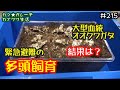 大型血統オオクワガタ緊急避難の多頭飼育の結果は？「カツ★ガレーヂカブクワ生活part215」【大型血統オオクワガタ】