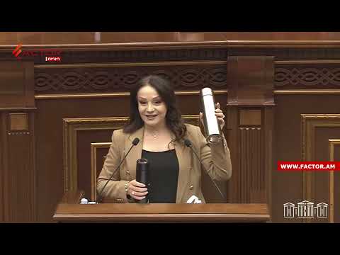 Թերմոս՝ 7800 դրամ, բեյջի թել՝ 1240 դրամ, էկո պայուսակ՝ 3432 դրամ․ տրամաբանության մեջ չի տեղավորվում