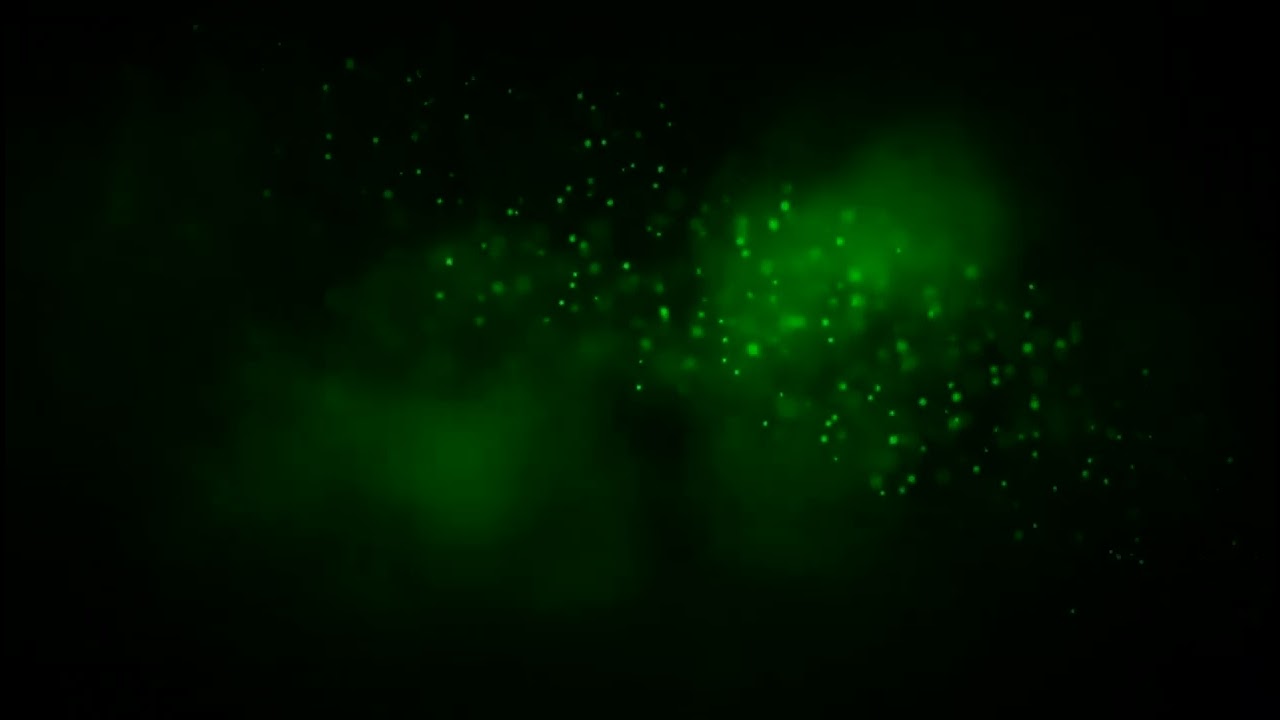 🌿 Relax Profondo: Immagine Astratta Verde e Lucine Calmanti ✨ | Musica Rilassante per Meditazione