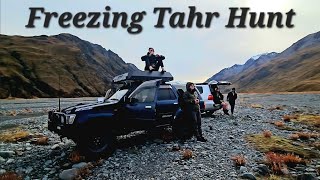 One Week Hunting Tahr in a Major River | close up stalks and unusual cookups