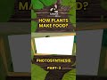 How Plants Make their own Food Part -3 | AASOKA #Shorts