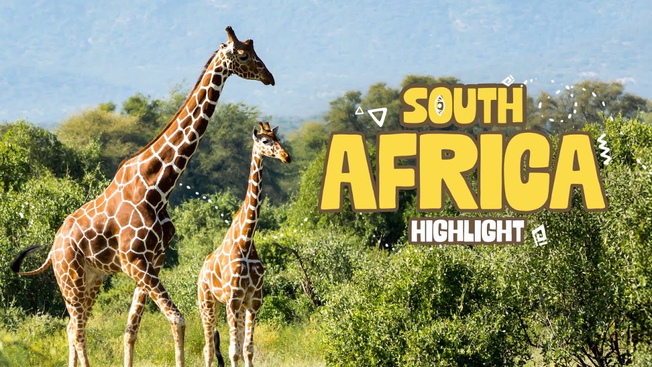 South Africa Highlights | Travel Vlog