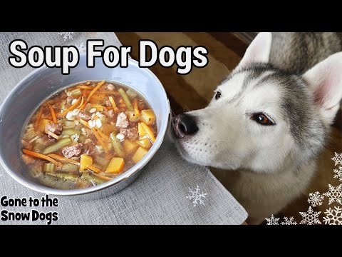 beef-barley-soup-for-dogs-|-diy-dog-treats-129-|-homemade-soup-for-dogs