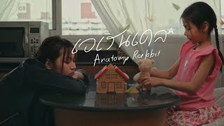 ANATOMY RABBIT - เอเรนเดล | EARENDEL  ( Unofficial MV )