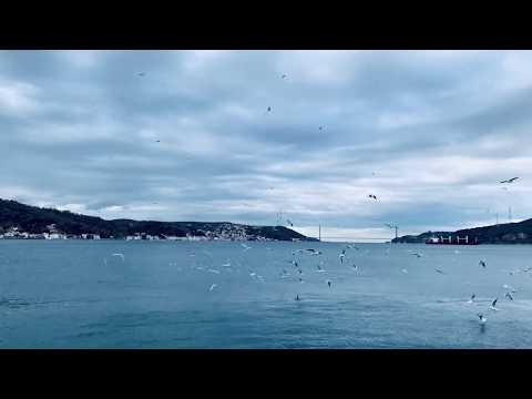 Kireçburnu Sahili, Sarıyer - İstanbul - Türkiye (Coast of Kireçburnu, Sarıyer - Istanbul - Turkey)