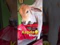#shorts #trading #funnyvideo funn