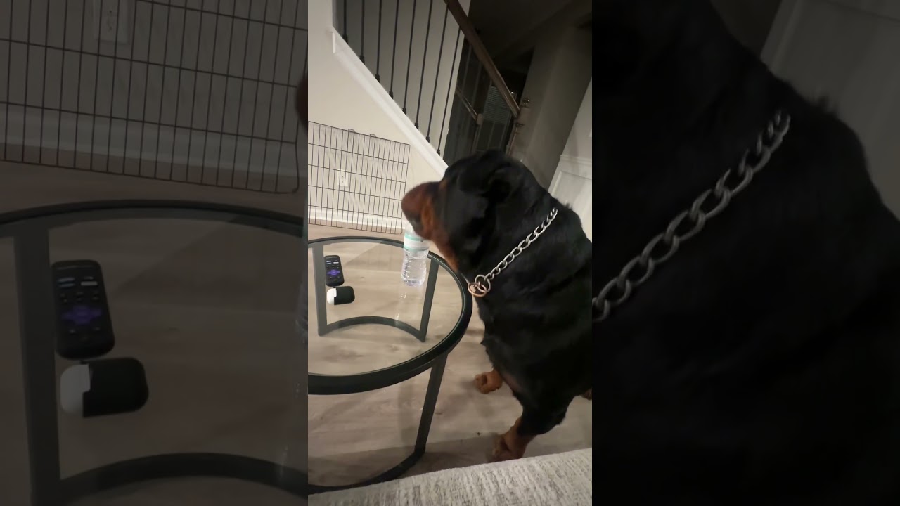 Он хочет эту бутылку…