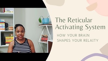 The Reticular Activating System | How Your Brain Shapes Your Reality
