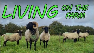 HOW to LIVE on your FARM | Major Milestone Achieved by Brimwood Farm 887 views 6 months ago 12 minutes, 34 seconds