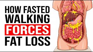 How Fasted Walking Forces Your Body to Burn Stubborn Belly Fat