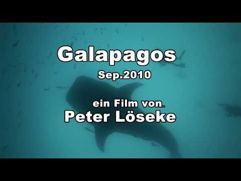 Galapagos Tauchen der Superlative!!! Galapagos - I...