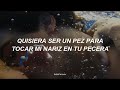 Juan Luis Guerra - Burbujas de Amor (Letra)