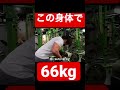 この身体で66kgだよ?皆太り過ぎかもよ#筋トレ #shorts