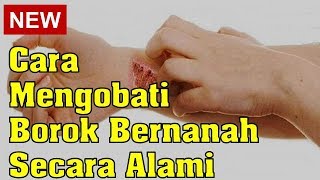 Cara Mengobati Borok Bernanah Secara Alami