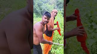 Download Lagu नागिन 🤣#funnyvedio#shorts#naginvedio#ytshorts#rsdmgroup MP3