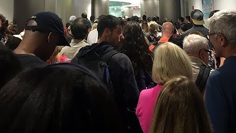 Customs Processing Outage Delays International Travelers