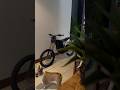 Surron on the house #surron #automobile #talaria #ebike #lbx #fyp #viral #subscribe #support 😈