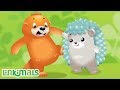 Linkimals™ - The Dancing Song | Kids Songs | Cartoons For Kids | Nursery Rhymes | Kids Learning