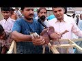 Kabootar Market Lalukhait New Video Update 7-4-19 in Urdu/Hindi.